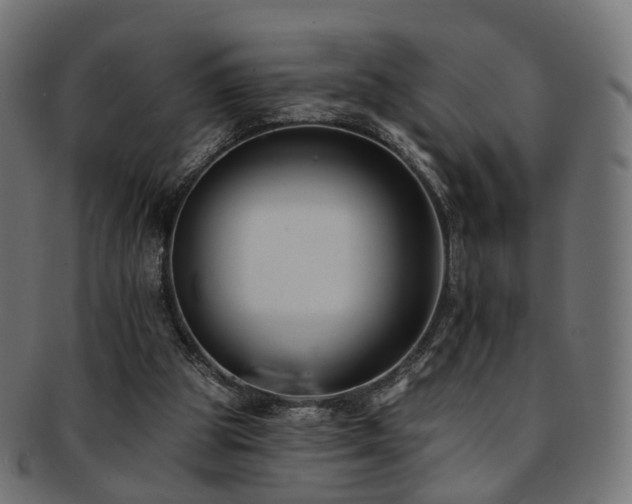 X0000092320153200709141419