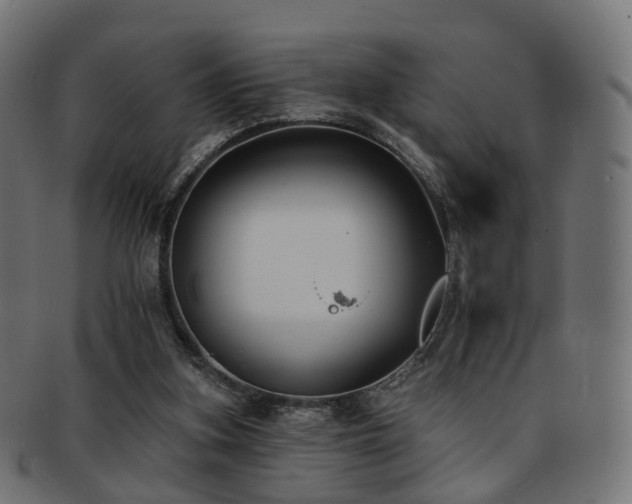 X0000092320155200709141419