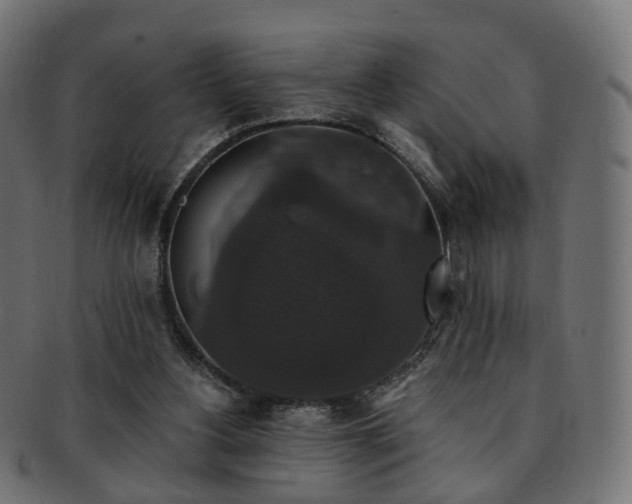 X0000092320156200709141419