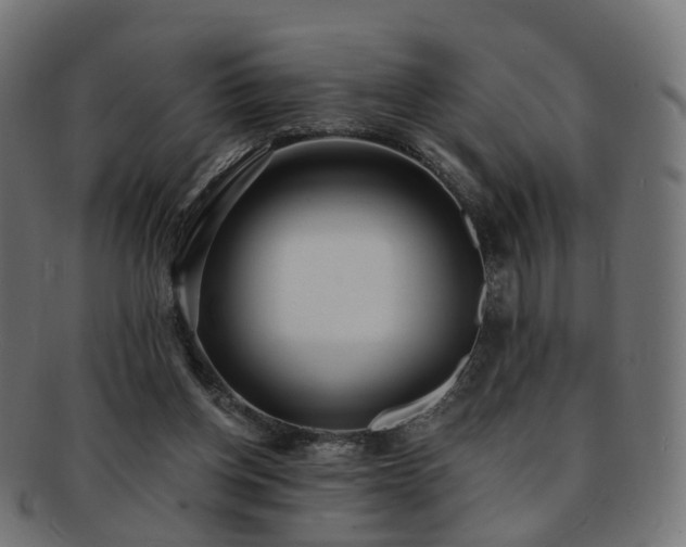 X0000092320158200709141419