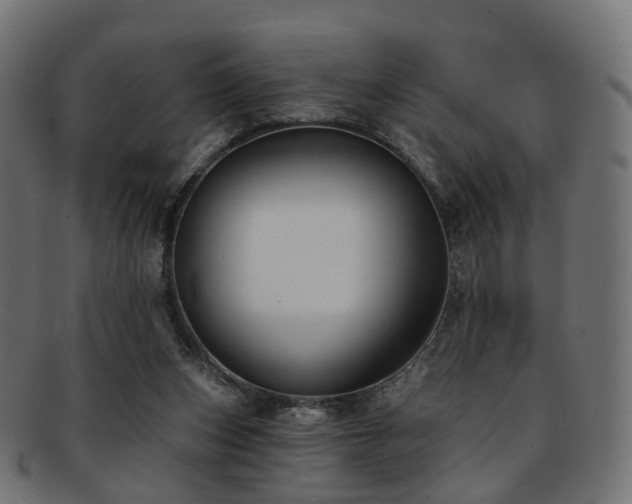 X0000092320159200709141419