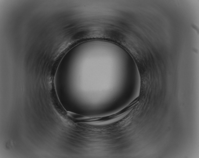 X0000092320160200709141419
