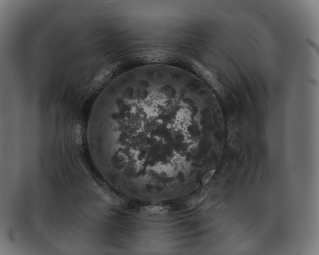 X0000092320161200709141419