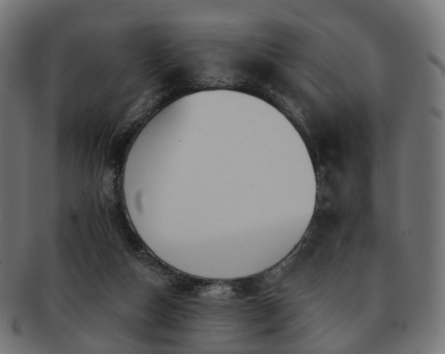 X0000092320162200709141419