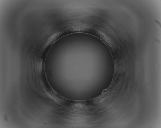 X0000092320163200709141419