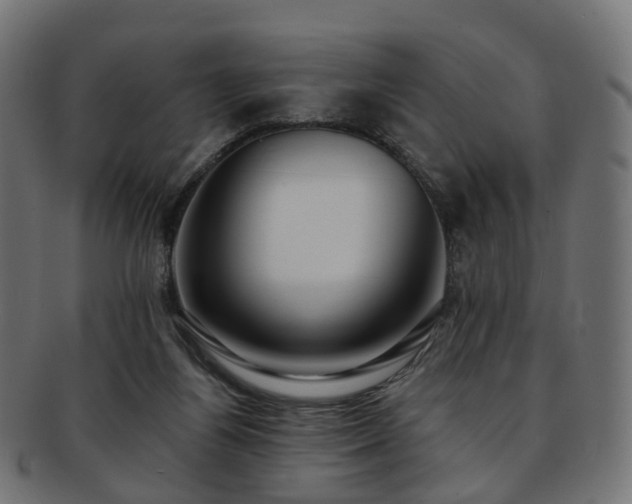 X0000092320164200709141419