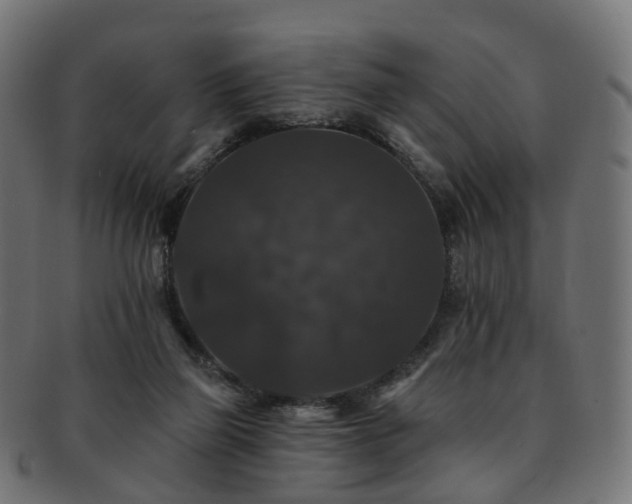 X0000092320165200709141419