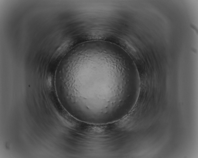 X0000092320166200709141419