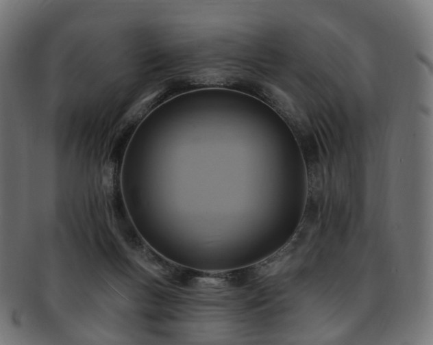 X0000092320167200709141419