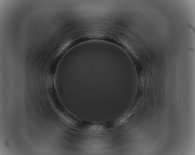X0000092320168200709141420