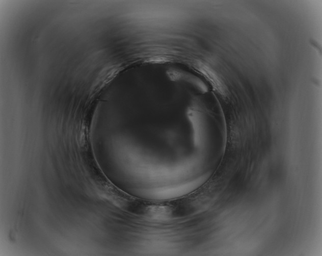 X0000092320169200709141420