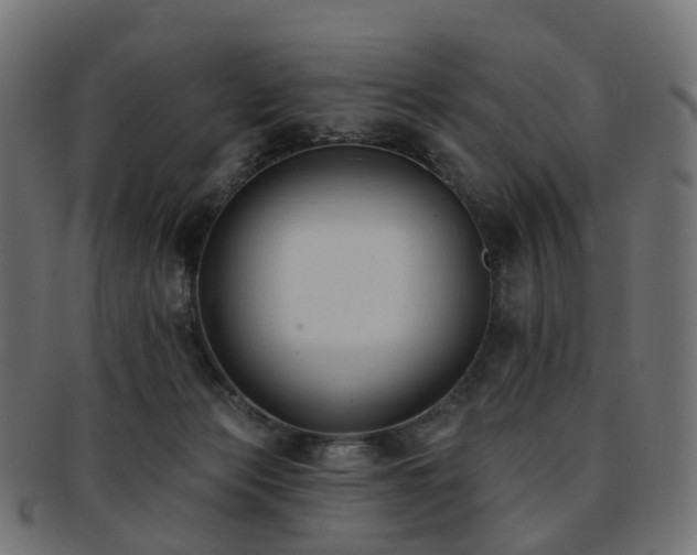 X0000092320173200709141420