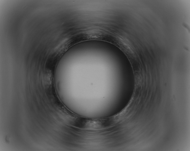 X0000092320174200709141420