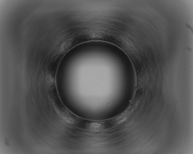 X0000092320176200709141420