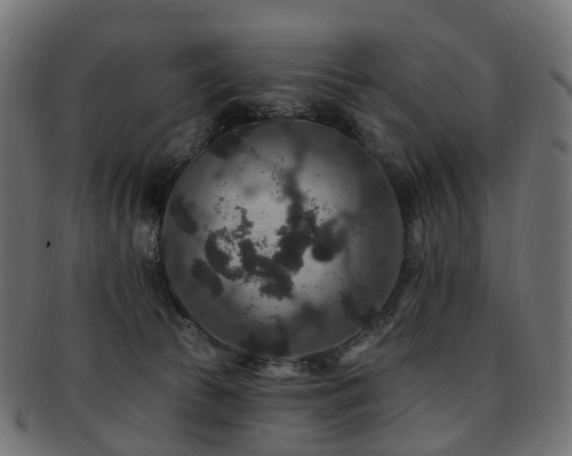 X0000092320177200709141420