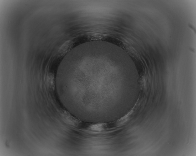X0000092320178200709141420
