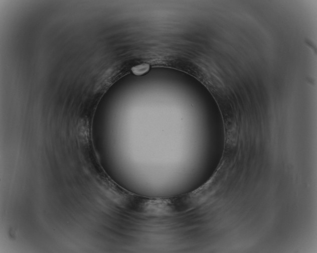 X0000092320179200709141420
