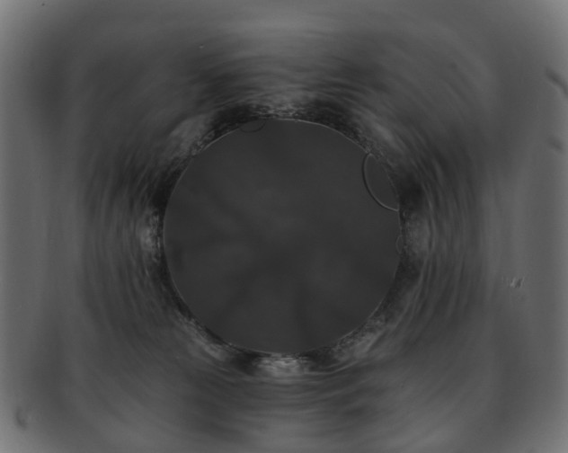 X0000092320181200709141420