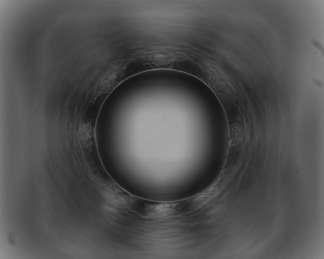 X0000092320184200709141420