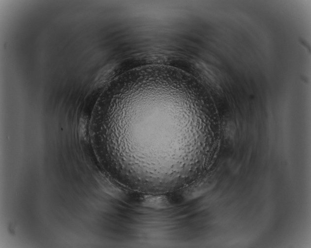 X0000092320185200709141420