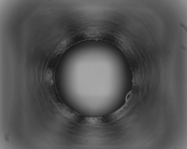X0000092320187200709141420
