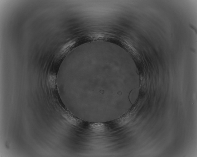X0000092320189200709141420