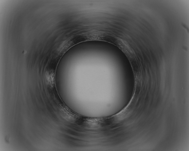 X0000092320190200709141420