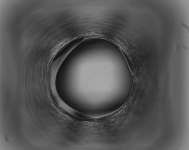 X0000092320193200709141419