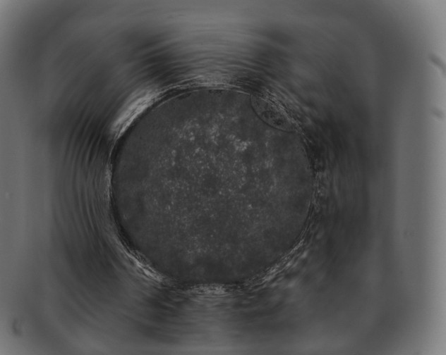 X0000092320194200709141419