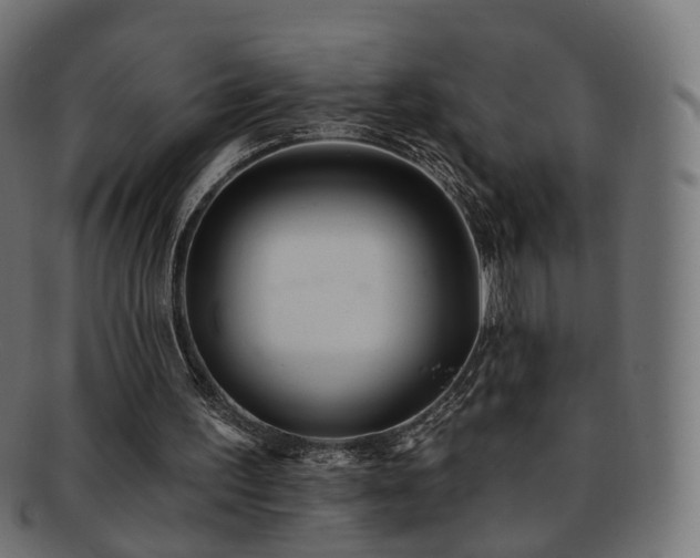 X0000092320195200709141419