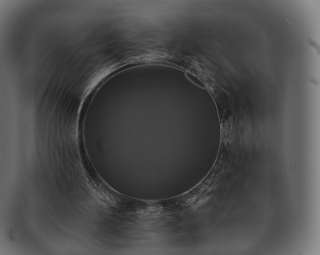 X0000092320196200709141419
