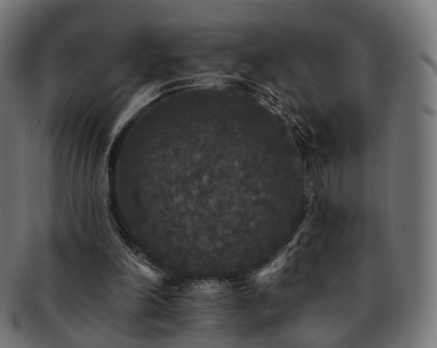 X0000092320198200709141419