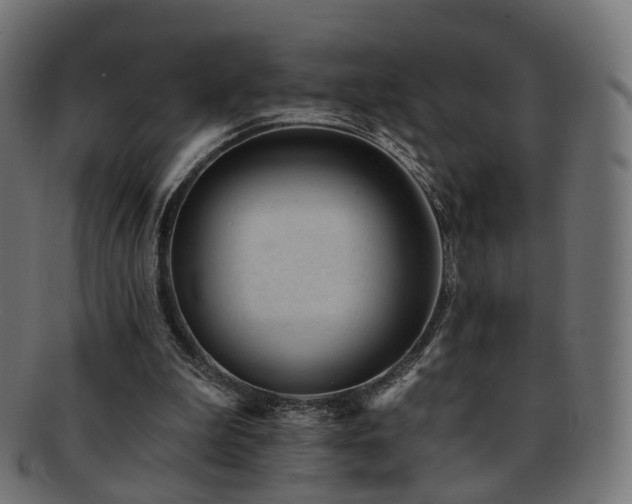 X0000092320199200709141419