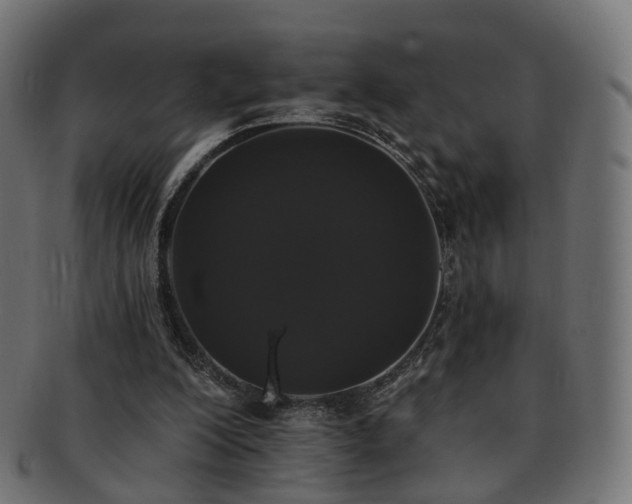 X0000092320200200709141419