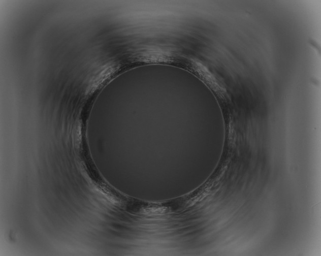 X0000092320202200709141419
