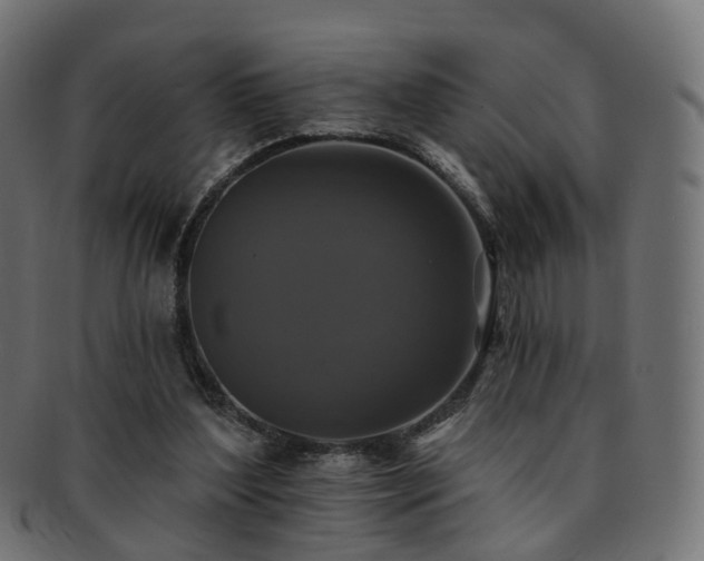 X0000092320204200709141419