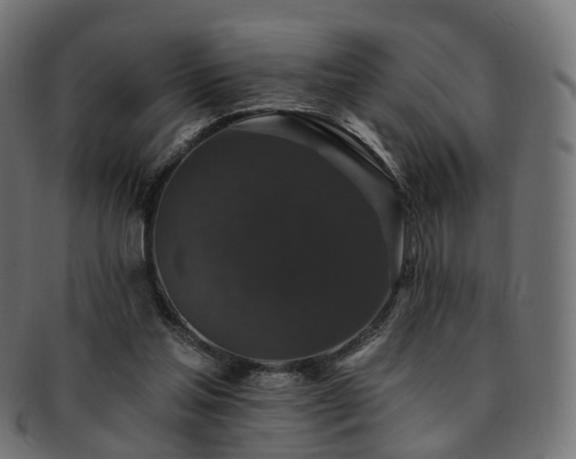 X0000092320205200709141419