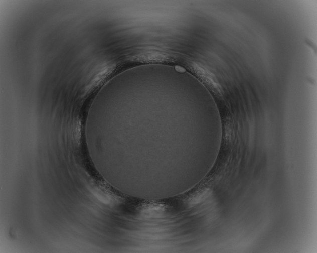 X0000092320206200709141419
