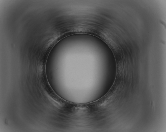X0000092320208200709141419