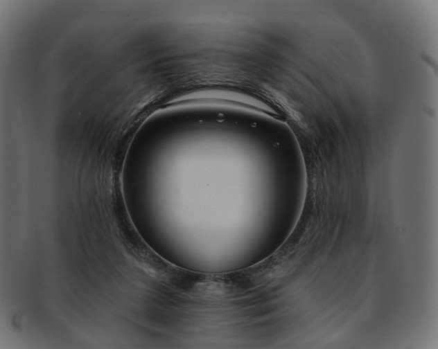 X0000092320211200709141419