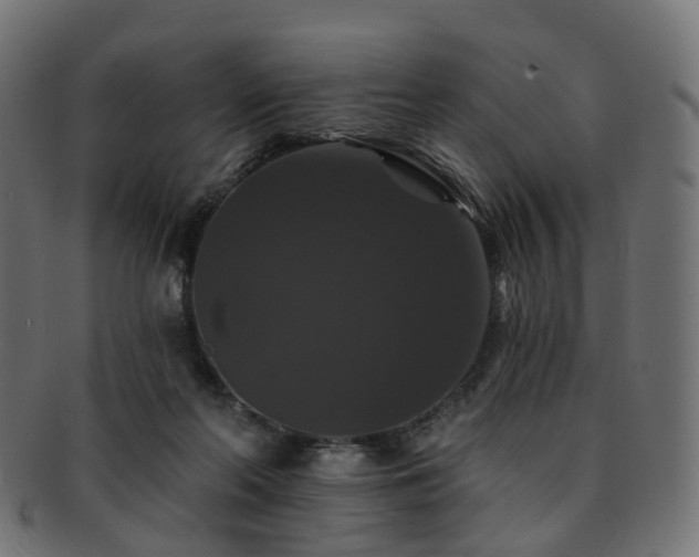 X0000092320214200709141419