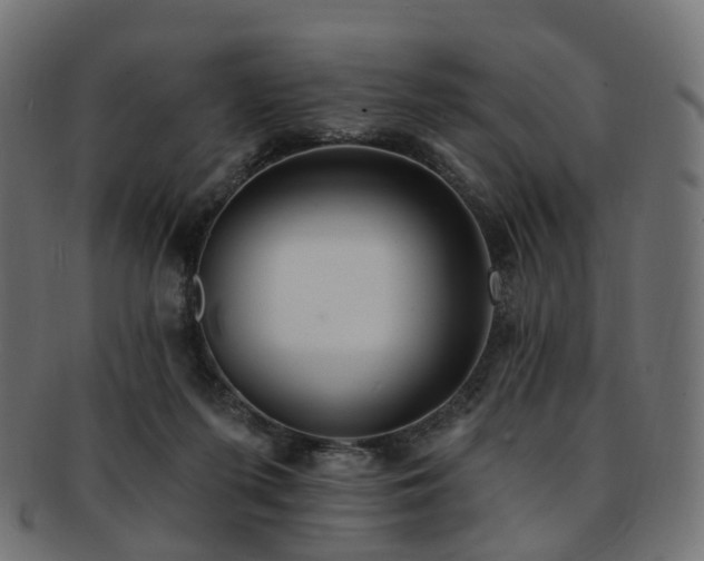 X0000092320215200709141419