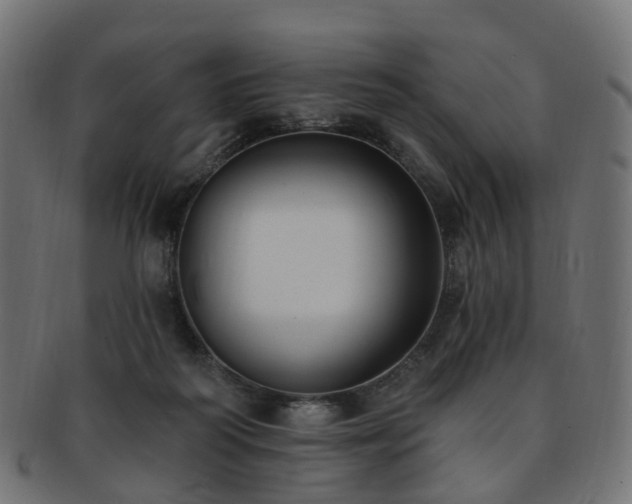 X0000092320218200709141419