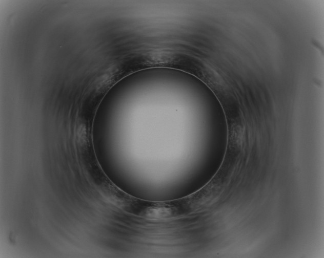 X0000092320220200709141419