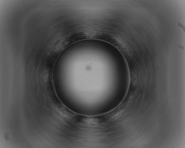 X0000092320221200709141419
