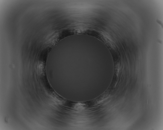 X0000092320222200709141419