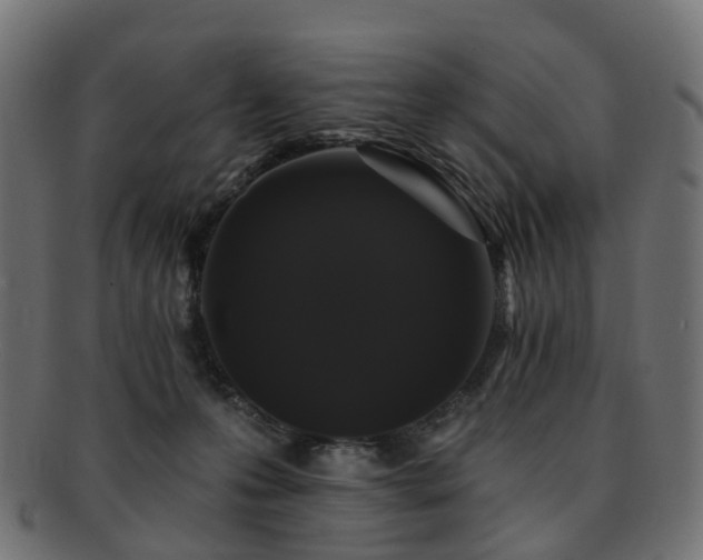 X0000092320223200709141419