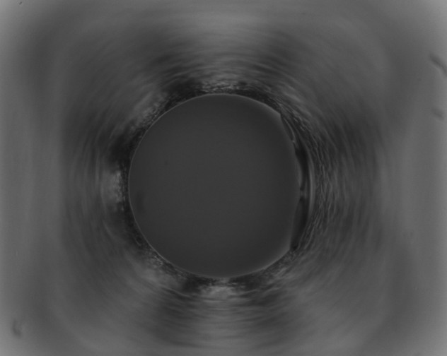X0000092320224200709141419