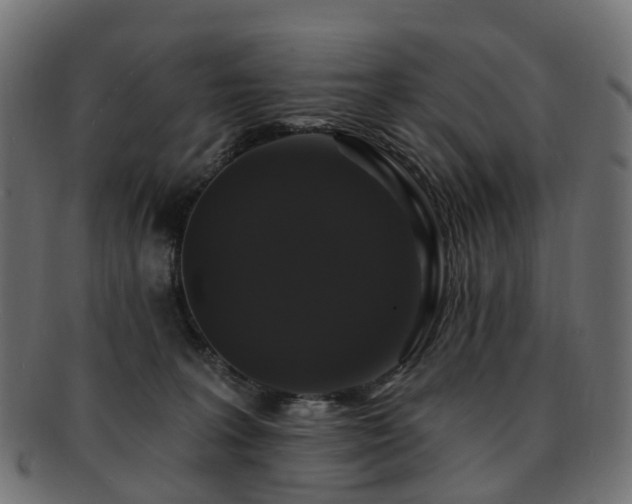X0000092320227200709141419