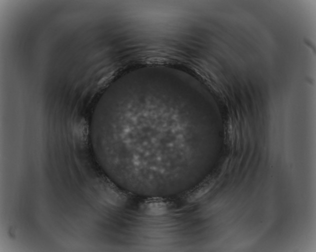X0000092320228200709141419